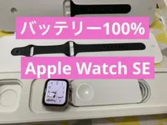 最大容量 100 Apple Watch SE はじめてセット