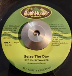 RSW 15th Ryo the Skywalker 7inch レコードセット RSW 15th Ryo the Skywalker 7inch レコードセット