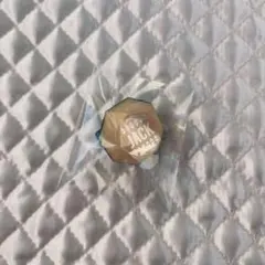 ツイステ ブレジュ ジャック リングライト