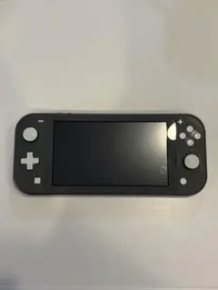 【ジャンク品】Nintendo switch lite グレー