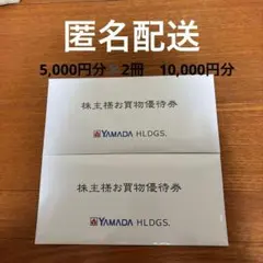 【匿名配送】ヤマダ電機　お買物優待券　500×10枚×２冊　10,000円分