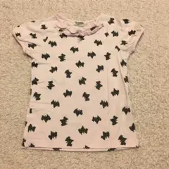 Item thumbnail for item 6e4c30cf-b28a-4f09-8a6f-5d4a2d6c80c0