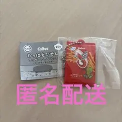 キーホルダー カプセルトイ