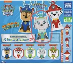 PAW PATROL パタルニマスコット セット