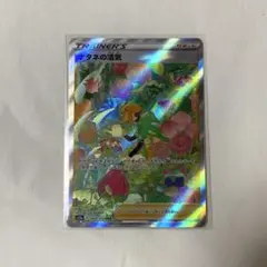 2025年最新】ナタネの活気 sarの人気アイテム - メルカリ