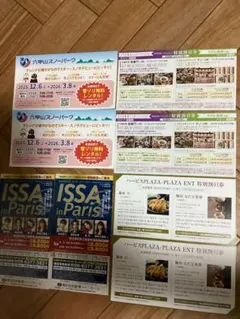 六甲山スノーパーク雪ゾリレンタル無料券　他　阪神阪急H各種割引券2枚づつ