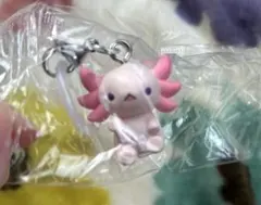 ウーパールーパー　めじるしアクセサリー うーさーるーぱーA