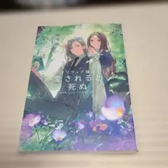 紺染幸 小説 単行本 オリヴィア嬢は愛されると死ぬ 旦那様、ちょっとこっち見すぎ