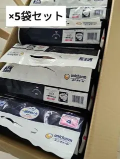 Item thumbnail for item 80f6ddfe-1fdf-4c1b-b99a-a1b6f8b6c1a1