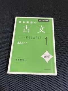 岡本梨奈の古文ポラリス1