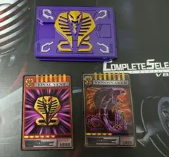 王蛇 カードデッキ サバイブカードセット 旧コンセレ版 プロップ 王蛇 カードデッキ サバイブカードセット 旧コンセレ版 プロップ