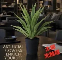 光触媒 観葉植物 ウォールグリーン フェイクグリーン スターライト