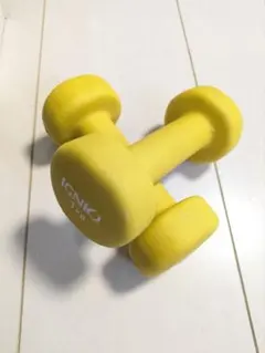 IGNIO ダンベル 1kg