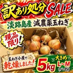 訳あり処分SALE⭐️淡路島産玉ねぎハゼL〜M5kg（根・葉つき）24時間以内発送のサムネイル