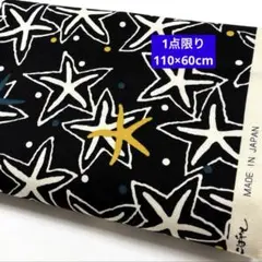 Item thumbnail for item 74ba5980-b51c-4c88-86bb-3ef25ac9b649