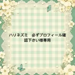 ハリネズミ　必ずプロフィール確認下さい 様　專用