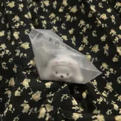 サンリオ シナモン×ポチャッコ ガチャガチャ