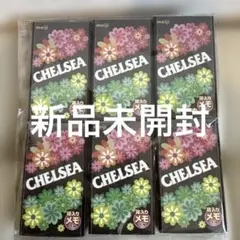 明治チェルシー 箱入りメモ 6セット 未開封