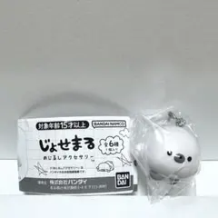 【新品未開封】じょせまる めじるしアクセサリー まるころ