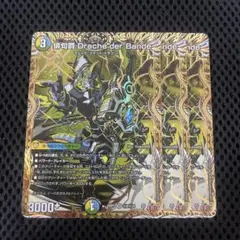 シークレット デュエルマスターズ