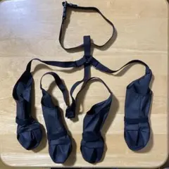 Item thumbnail for item a52602f7-0b9c-4fda-986b-bd72bea4db4d