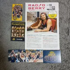 宇都宮ブレックス　BREX グッズ6点セット　トレカ、ステッカー、ガイド、チラシ