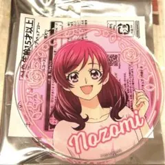 夢原のぞみ アクリルチャーム チェリーブロッサム 2025年最新】Yes!プリキュア5GoGo! アクリルスタンド/夢原