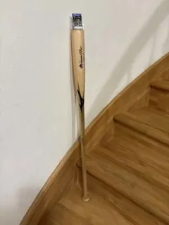 Item thumbnail for item 0143bca7-dc69-42ee-a450-7ff8779cc4db