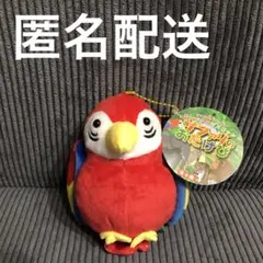 サファリのおたけび　リアルボイスIC付き　ぬいぐるみ　鳥　オウム　コンゴウインコ