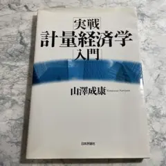 実戦 計量経済学入門　送料込