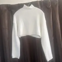 ZARA ショート丈　ニット　ハイネック　クロップド丈　ホワイト　白