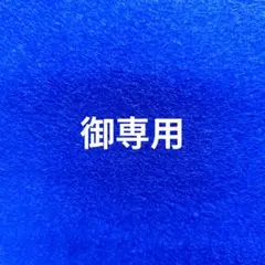 【御専用】