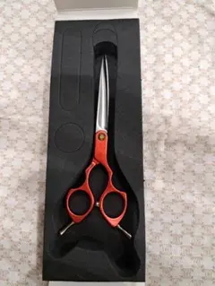 Item thumbnail for item 8407ae1f-c45d-40f9-a758-1a21c9dd7899