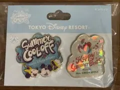 ディズニーピンバッジセット