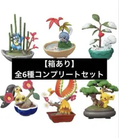 2025年最新】ぽけっとbonsai ホウオウの人気アイテム - メルカリ