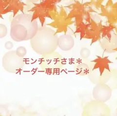 モンチッチさま＊オーダー専用ページ