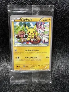 2025年最新】いっしょにたべよ ピカチュウ 未開封の人気アイテム