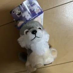 もふっとオオカミ ミステリアス