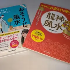 龍神風水　お掃除風水　 #匿名配送