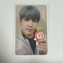 SEVENTEEN セブチ ウォヌ HMV トレカ ボンボンイ クリスマス 特典