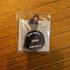NCT127 THE UNITY ランダムトイ ミニアクリルスタンド ジョンウ