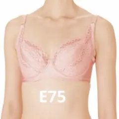 2025年最新】シャルレ ブラジャーe75の人気アイテム - メルカリ