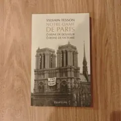 SYLVAIN TESSON NOTRE-DAME DE PARIS 洋書