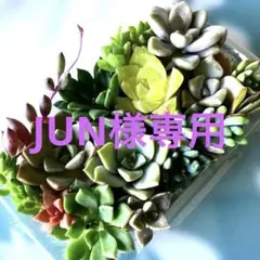 JUN様 リクエスト 3点 まとめ商品