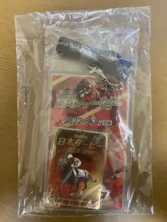 第89回日本ダービー チケットホルダー シャフリヤール