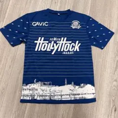 SALE 水戸ホーリホック 兵働昭弘 実使用 ユニフォーム 2016 長袖 2025年最新】水戸ホーリーホックユニフォームの人気アイテム