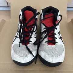 Item thumbnail for item dd424614-6029-4d44-9b22-e3a3663b6e1d