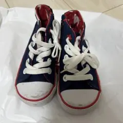 Item thumbnail for item d8dc5e51-4104-4d52-9021-53430a863b69