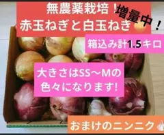 無農薬栽培！赤玉ねぎと白玉ねぎのセット！のサムネイル