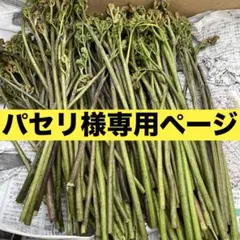 パセリ様専用ページ